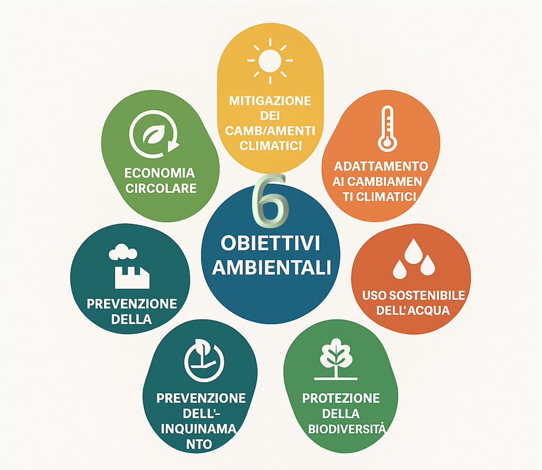 DSNH 6 oniettivi